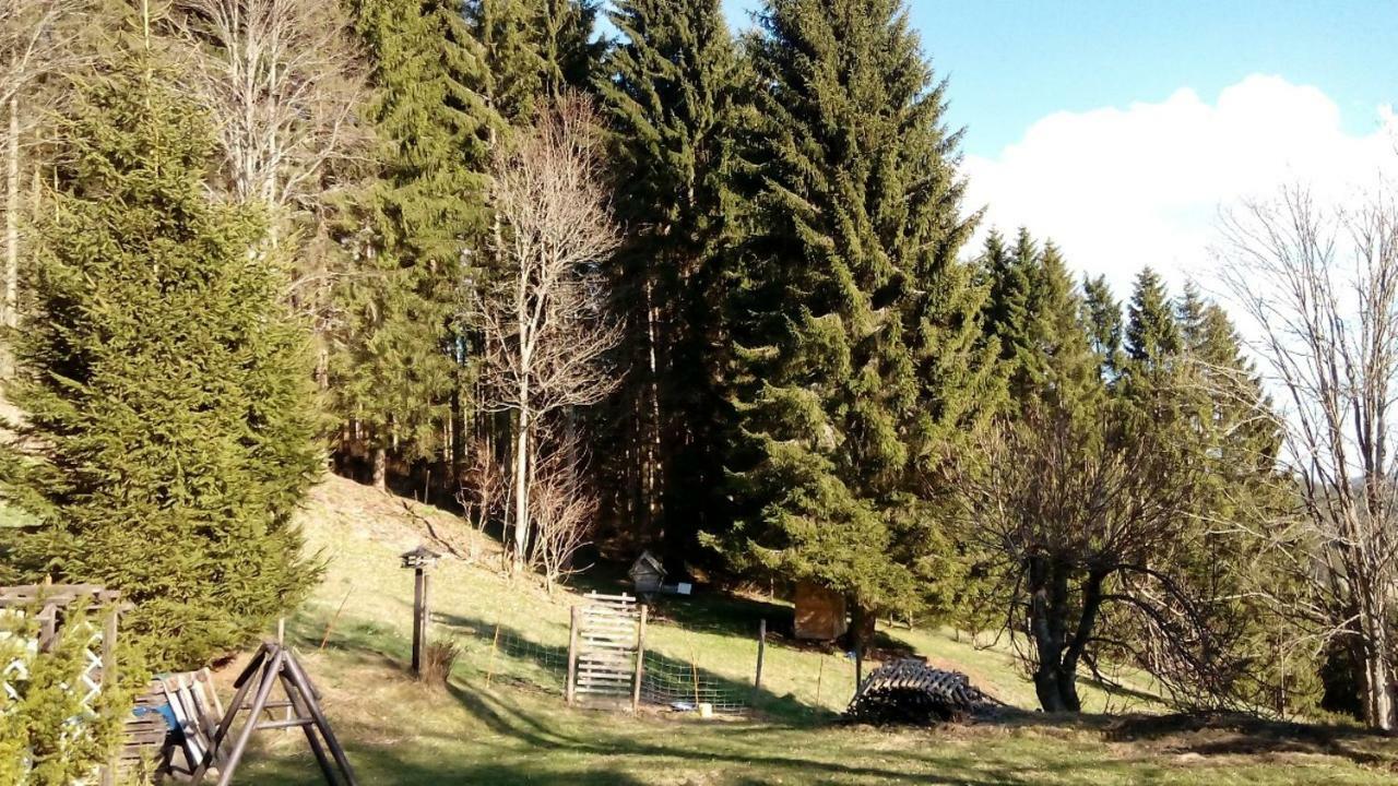 Gaestehaus Fridolin Криглах Екстериор снимка